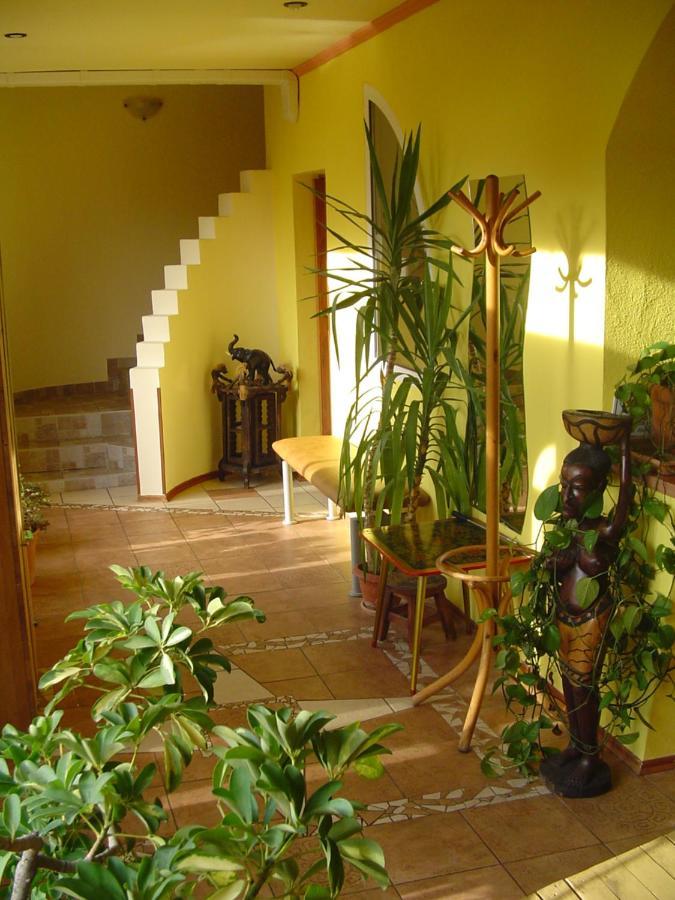 Štúrovo Villa Ametyst מראה חיצוני תמונה
