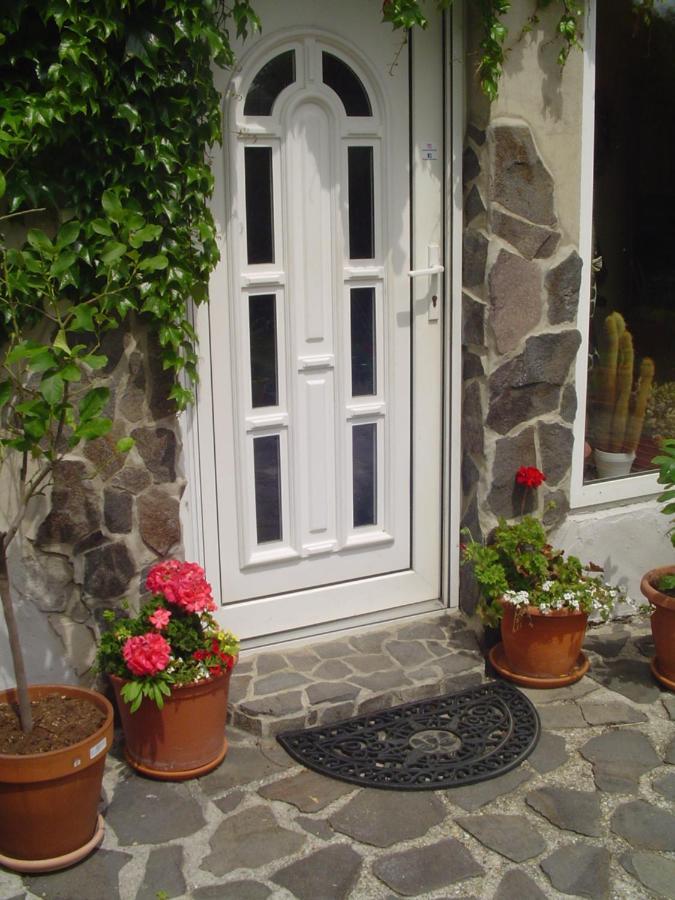 Štúrovo Villa Ametyst מראה חיצוני תמונה